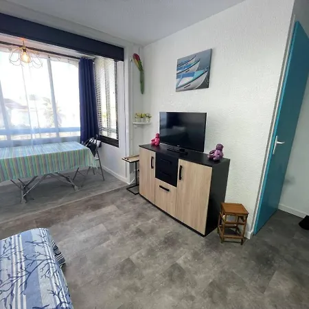 2p, 2 Couchages, Parking, Loggia, Proche Et Centre, Animaux Acceptes - Fr-1-225d-171 Saint-Cyprien (Pyrenees-Orientales)