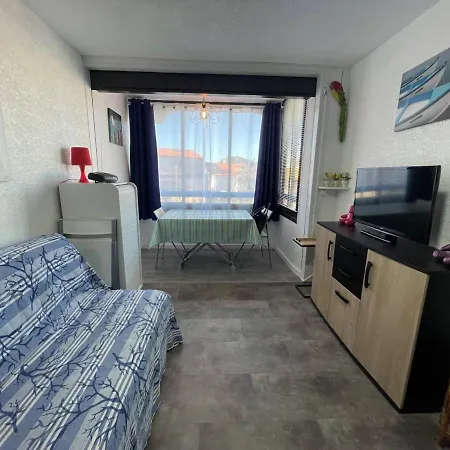 Apartment 2p, 2 Couchages, Parking, Loggia, Proche Et Centre, Animaux Acceptes - Fr-1-225d-171