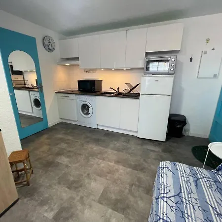 2p, 2 Couchages, Parking, Loggia, Proche Et Centre, Animaux Acceptes - Fr-1-225d-171 * Saint-Cyprien (Pyrenees-Orientales)