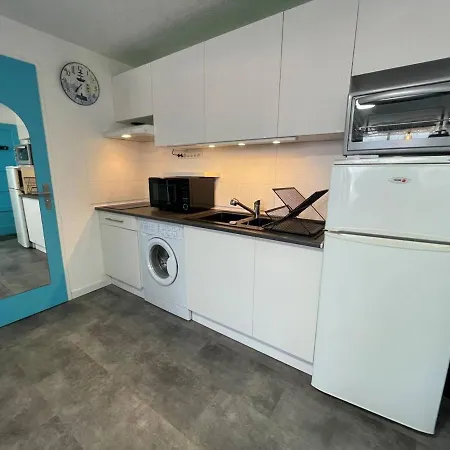 2p, 2 Couchages, Parking, Loggia, Proche Et Centre, Animaux Acceptes - Fr-1-225d-171 * Saint-Cyprien (Pyrenees-Orientales)